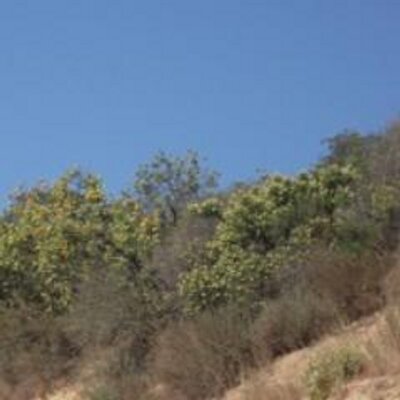 Profile Picture of Mike R (@mike_rayson) on Twitter