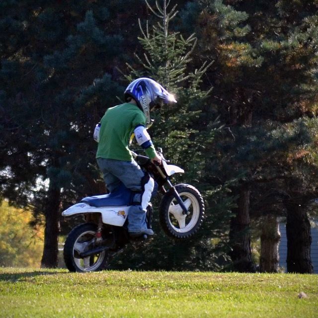 Cole Woods - Tiktok Profile Picture of Cole Woods (@cole.woods3) on Tiktok