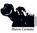 Profile Picture of Marcos Carmona Garcia (@Marcoscarmona) on Flickr