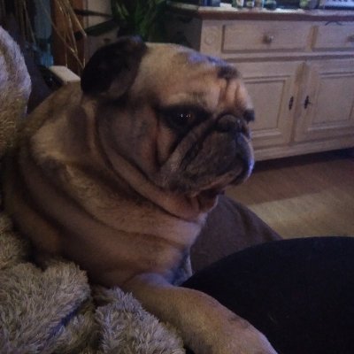 Profile Picture of Peter Renner (@PeterRe74168253) on Twitter