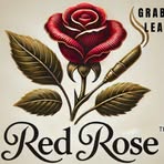 Profile Picture of Dixie Knight (@dixie.knight.14) on Facebook