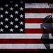 Profile Picture of Joseph Liberatore (@jliberatore0395) on Pinterest