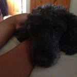 Profile Picture of Kay Chadwick (@kay04110) on Instagram