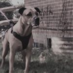 Profile Picture of Myra Meyer (@myra71552) on Instagram