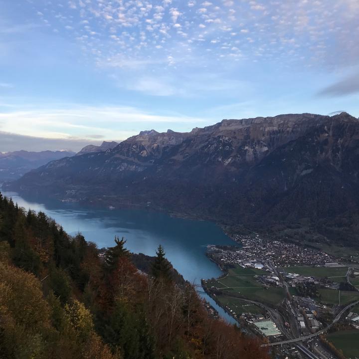 Profile Picture of Adam (@adamsvenson1) on Tiktok