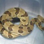 Profile Picture of Christopher Friedman (@chriedman) on Instagram