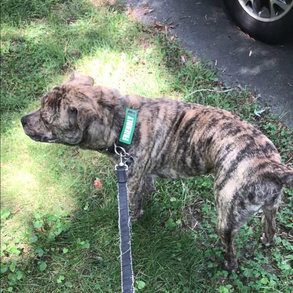 Profile Picture of Logan Wilson (@kinglovelxw) on Poshmark