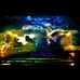 Profile Picture of Joshua Kish (@joshua.kish.7758) on Facebook
