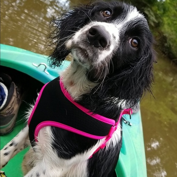 Profile Picture of Haley Mccoun (@hnm8) on Poshmark