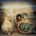 Profile Picture of Jeremy Bauman (@jeremydbauman) on Pinterest