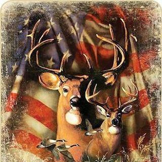 Profile Picture of Terry Pine (@terry.pine.3990) on Facebook