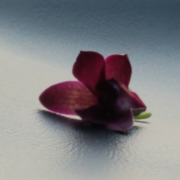 Profile Picture of Helena Maroszek (@helenamaroszek) on Poshmark