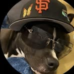Profile Picture of Omar Samayoa (@omar.samayoa.5439) on Facebook