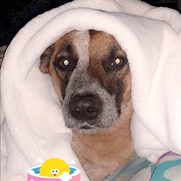 Profile Picture of Marissa Anttila (@marissananttila) on Poshmark