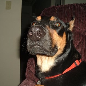 Profile Picture of Daniel Bardwell (@dbardwell) on Myspace