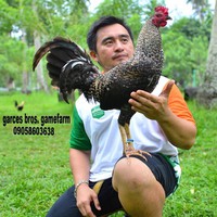 Profile Picture of Jayson Garces Official (@jayson-garces-official) on Quora
