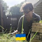 Profile Picture of Donna Wilcox (@wilcoxd49) on Instagram