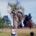 Profile Picture of Lupe Palacio (@lupe.palacio.359) on Facebook