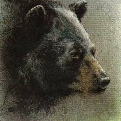 Profile Picture of Chris Rosenlund (@building589) on Twitter