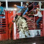 Profile Picture of Greg Shannon (@greg_r_shannon) on Instagram