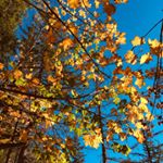 Benny - Instagram Profile Picture of Benny (@benjaminwyman68) on Instagram