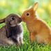 Profile Picture of Colinmasters (@colinmasters0102) on Pinterest