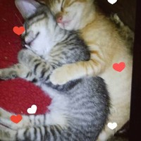 Profile Picture of Kit Jones (@kit-jones-8) on Quora