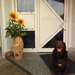 Profile Picture of Michaela Thumann (@michaela.thumann.7) on Facebook