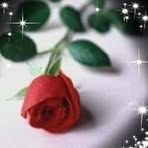 Profile Picture of Drita Andriano (@drita.andriano.39) on Facebook