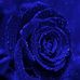 Profile Picture of Kimberly Reinsch (@kimberly.reinsch.9) on Facebook