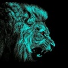 Profile Picture of Alex Mccoy (@@alexmccoy21) on Tiktok