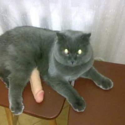 Profile Picture of Ike Aramba (@CallenAlex) on Twitter