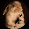 Profile Picture of Matthew Vasquez (@matthewvasq3) on Tiktok