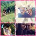 Profile Picture of Megan Mattison (@megan.mattison.96) on Facebook