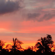 Profile Picture of BLUE ANGLE (@blueangle2809) on Youtube