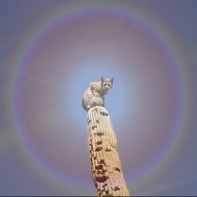 Profile Picture of David Lasko (@dmlsal) on Twitter