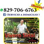 Profile Picture of Vivero Sinai / Bienvenido Cruz (@viverosinaimoca) on Instagram