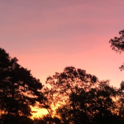 Profile Picture of Ava Cannon (@AvaCann49876492) on Twitter