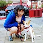 Profile Picture of Cindy LeBarron (@badfan_eh) on Instagram