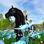 Profile Picture of 🐴John Connick (@ksk_schleich) on Instagram