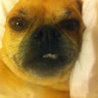 Profile Picture of Tracy Clouse (@tracy-clouse-3) on Quora