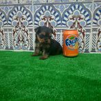 Jose Padial - Facebook Profile Picture of Jose Padial (@Jose-Padial) on Facebook