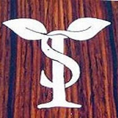 Profile Picture of Mike Boggess (@Treesongguitars) on Twitter