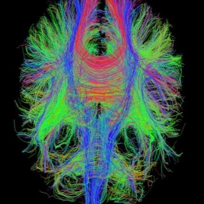 Profile Picture of David Menon (@Menon_Cambridge) on Twitter