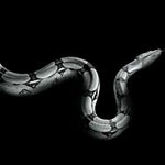 Profile Picture of David zellers (@dzellers777) on Instagram