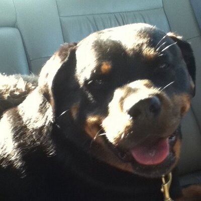 Profile Picture of JessW (@JessWienand) on Twitter