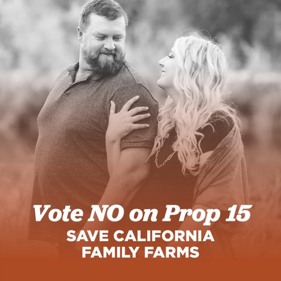 Profile Picture of Chase Wylie (@chasewylie1) on Poshmark