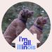 Profile Picture of Maureen Ford Wilbrandt (@maureen.wilbrandt) on Facebook