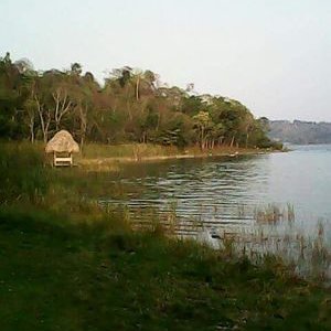 Profile Picture of Juan Jose Chun (@juanjosechun1) on Twitter