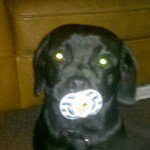 Profile Picture of ian crossley (@crossli1) on Instagram